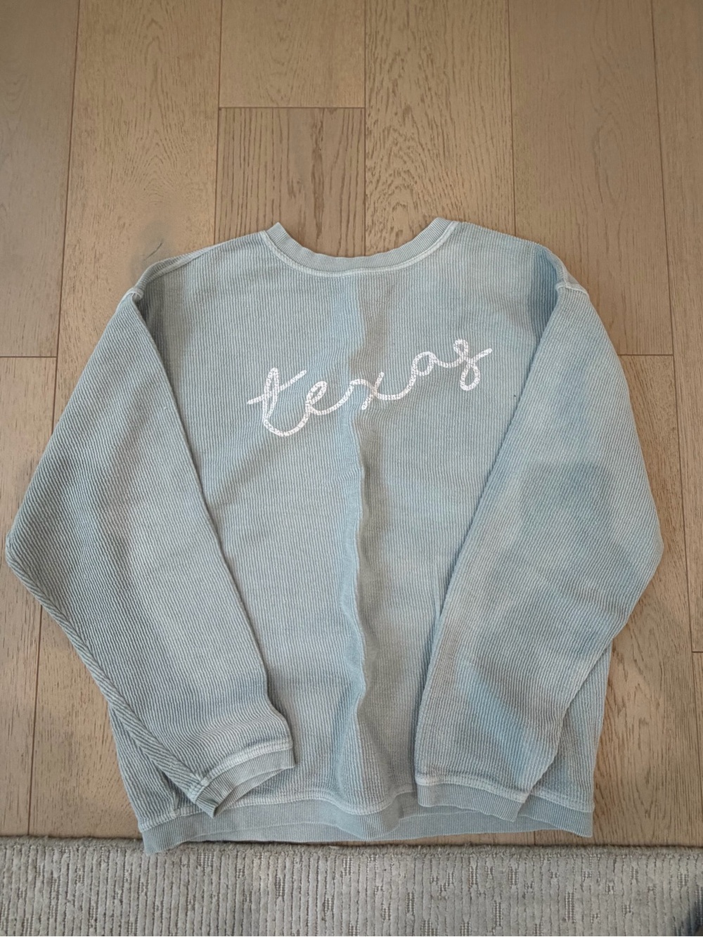 Charles River Apparel Light Blue 'Texas' Crewneck Sweater